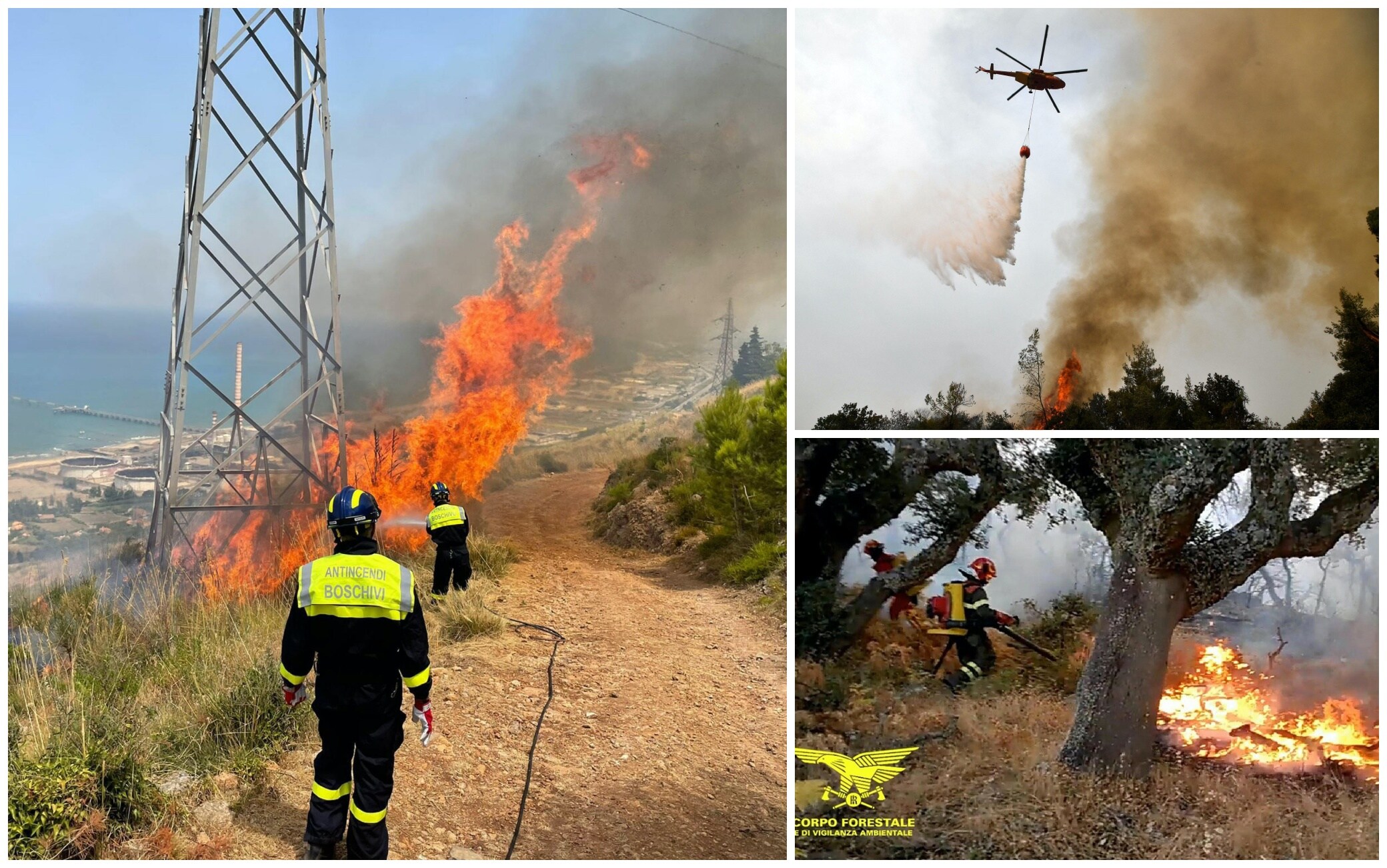 Incendi, due vittime in Calabria, stato di emergenza in Sicilia: la situazione in Italia - Vimarsana News